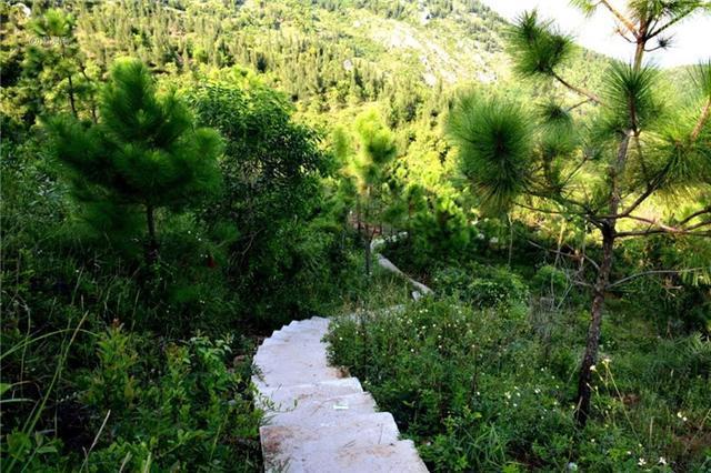 收藏！阳西沙扒湾两日游最强攻略，广东最“抵食”的海滩了解一下