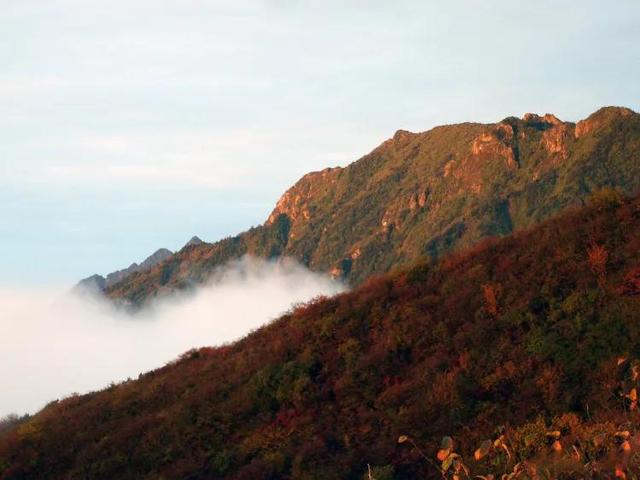 一般去成都必去的十大景点（不可错过的24个旅游景点）(22)