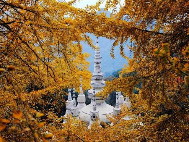 一般去成都必去的十大景点（不可错过的24个旅游景点）(18)