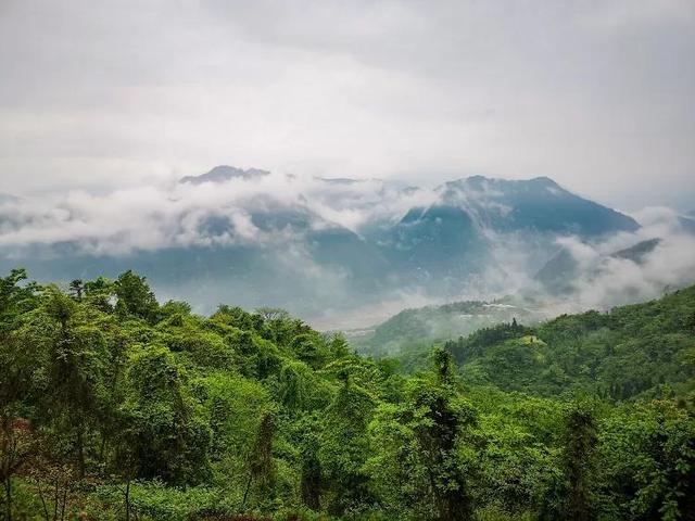 一般去成都必去的十大景点（不可错过的24个旅游景点）(19)