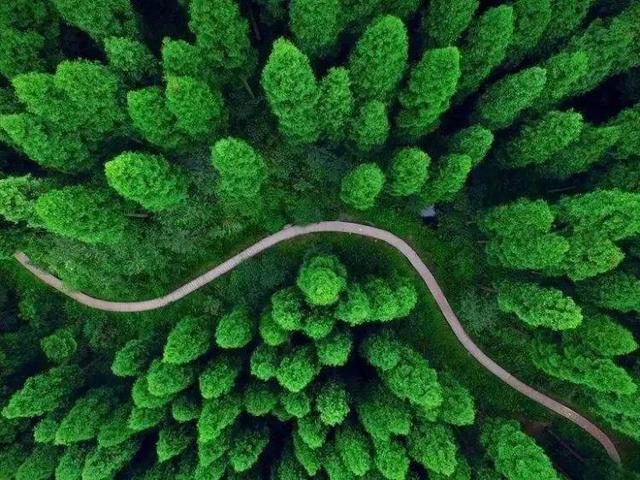 一般去成都必去的十大景点（不可错过的24个旅游景点）(15)