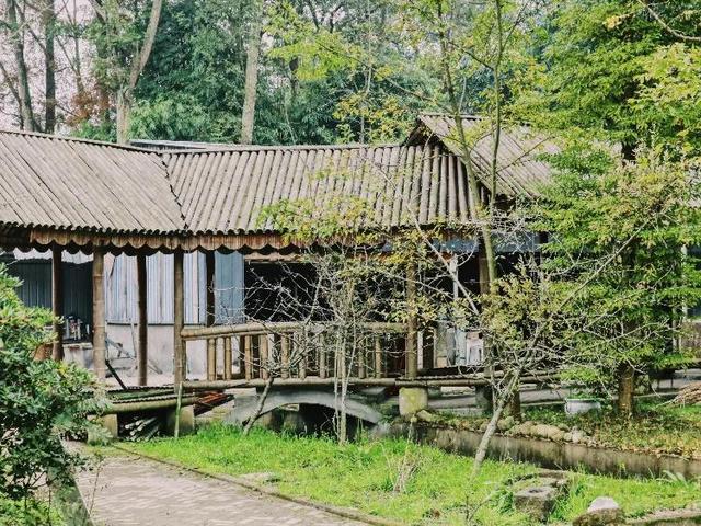 一般去成都必去的十大景点（不可错过的24个旅游景点）(24)