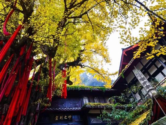 一般去成都必去的十大景点（不可错过的24个旅游景点）(5)