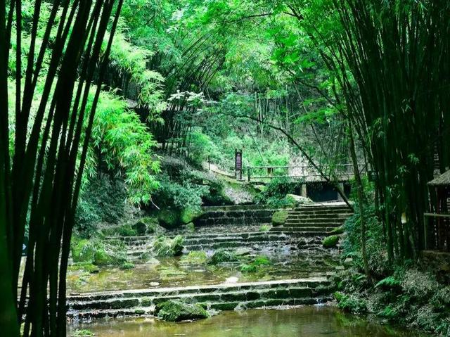 一般去成都必去的十大景点（不可错过的24个旅游景点）(12)