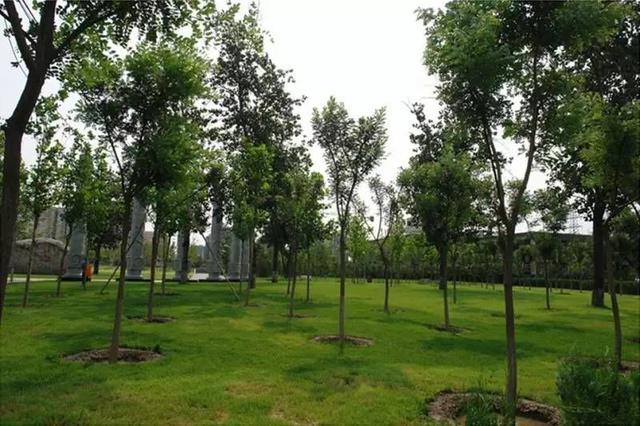 北京适合游玩的公园排行榜（北京近郊免费公园大全）(3)