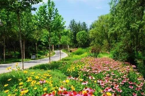 北京适合游玩的公园排行榜（北京近郊免费公园大全）(1)