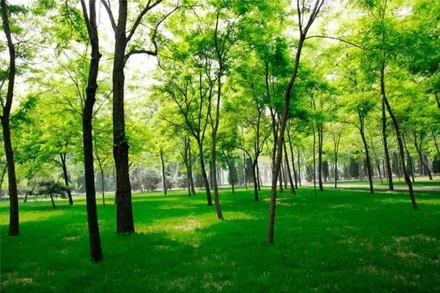 北京适合游玩的公园排行榜（北京近郊免费公园大全）(5)