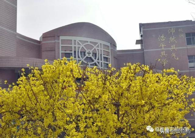 山东省临朐县实验中学:压抑高中,也有最美春天!