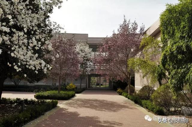 山东省临朐县实验中学:压抑高中,也有最美春天!