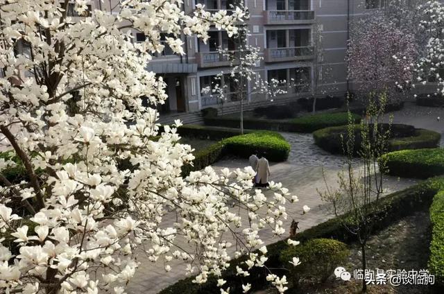 山东省临朐县实验中学:压抑高中,也有最美春天!