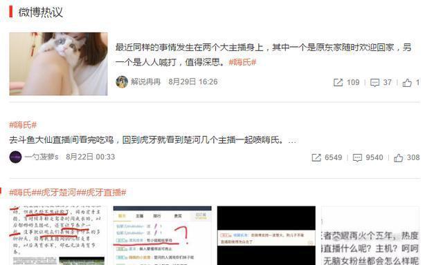 嗨氏，叛了爱拍虎牙，怼了楚河，最终只会众叛亲离