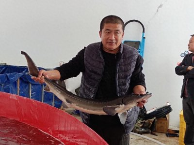 ​黑龙江省嘉荫县：绿水青山“颜值高” 金山银山“成色足”