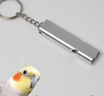 鸽子哨怎么带(鸽子哨怎么绑在鸽子上)