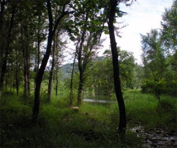 ​写实性风景油画写生过程详解——构思篇，小草图解决大问题
