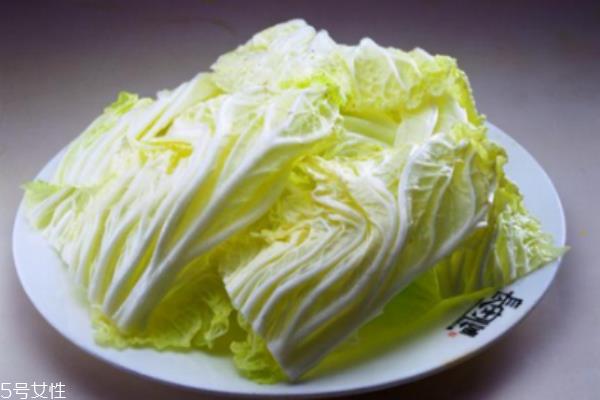 白菜的营养价值与功效