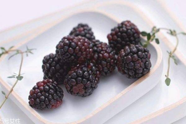 桑葚上有虫子怎么清洗 为什么有的桑葚里会有虫子