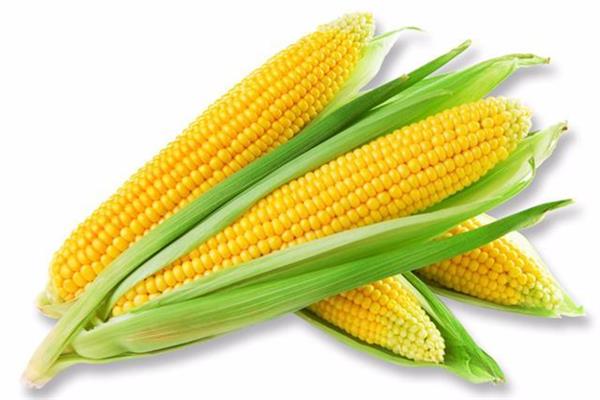 玉米煮多久会熟 玉米煮的好吃还是蒸的