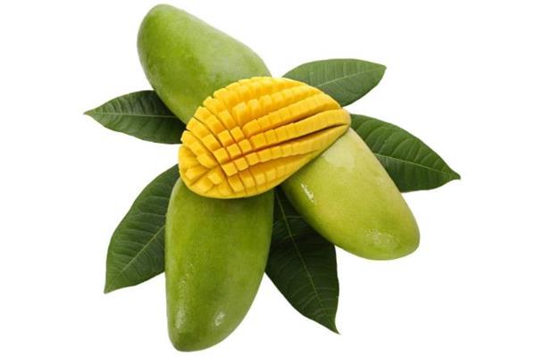 青芒可以带上飞机吗 青芒果可以托运吗 青芒可以带上飞机吗 青芒果可以托运吗