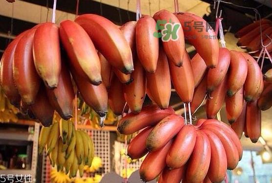红皮香蕉是转基因的吗?红皮香蕉和一般香蕉的区别 红皮香蕉是转基因的吗?红皮香蕉和一般香蕉的区别