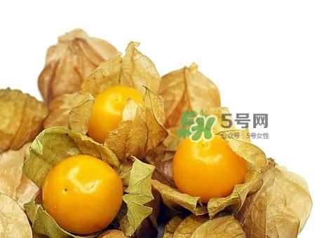 姑娘果怎么挑选？姑娘果产地在什么地方