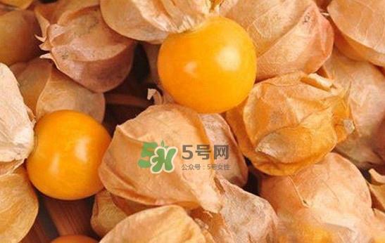 姑娘果怎么挑选？姑娘果产地在什么地方