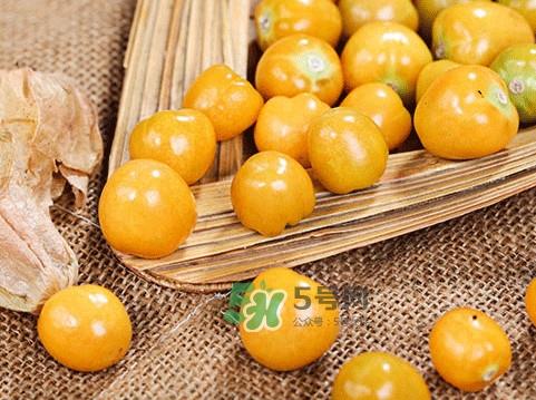 姑娘果怎么挑选？姑娘果产地在什么地方