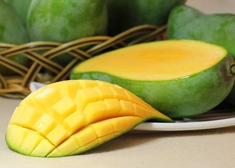 青芒是热性还是凉性 属性微凉