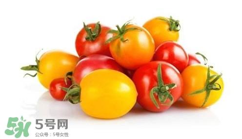 小番茄转基因食品吗？小番茄是不是转基因