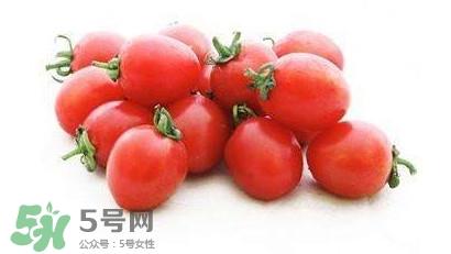 小番茄转基因食品吗？小番茄是不是转基因