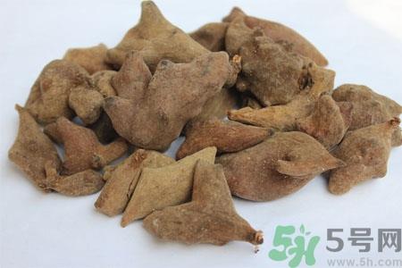 五倍子能治早泄吗？五倍子的副作用有哪些？