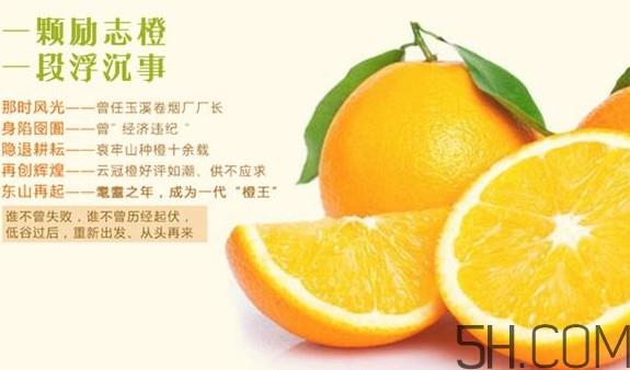 褚橙多少钱一斤？褚橙为什么这么贵