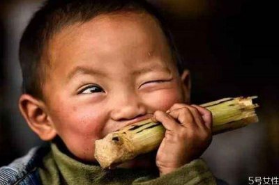 ​吃甘蔗会导致牙齿松动吗 吃甘蔗应该注意什么呢