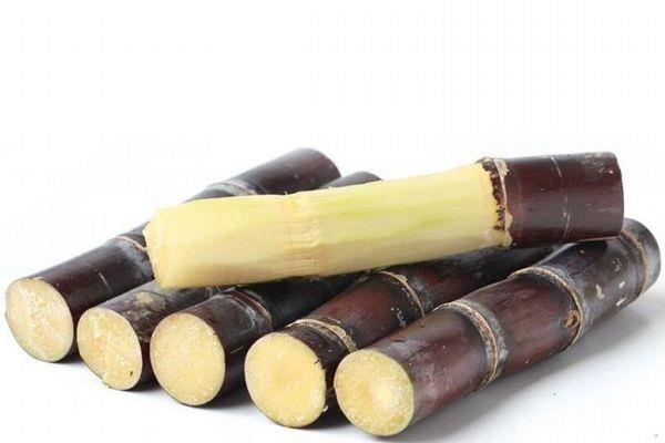 吃甘蔗会导致牙齿松动吗 吃甘蔗应该注意什么呢