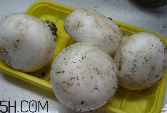 口蘑多少钱一斤？口蘑怎么保存