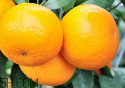 ​沃柑哪些地方可以种植？吃沃柑上火吗