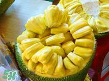 菠萝蜜的营养价值 吃菠萝蜜有什么好处？