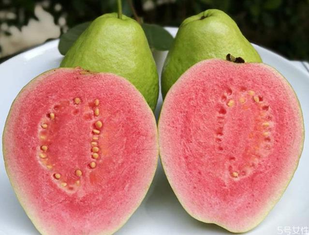 芭乐和什么水果味道像 芭乐没熟怎么办