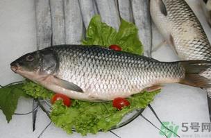 鲤鱼死了怎样保鲜？鲤鱼死后怎么保存？