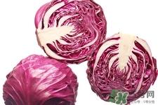 紫甘蓝可以生吃吗？紫甘蓝生吃安全吗？