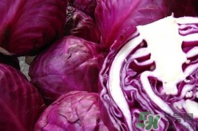 ​紫甘蓝可以生吃吗？紫甘蓝生吃安全吗？