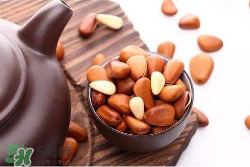 松子靠什么传播种子的？松子是什么树的果实