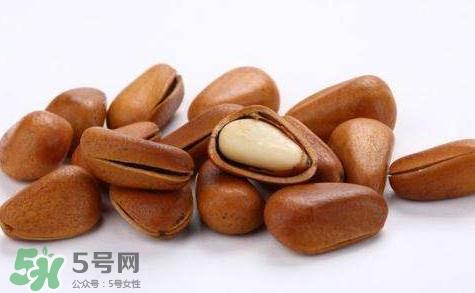 松子靠什么传播种子的？松子是什么树的果实