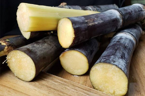 甘蔗煮水喝有什么样的功效和作用 甘蔗煮水能治咳嗽吗