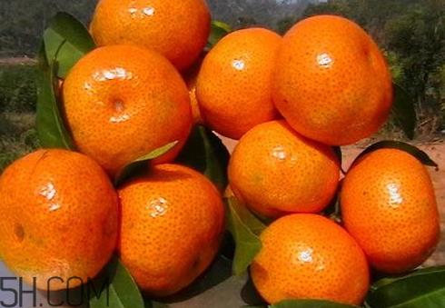 砂糖桔和沙糖桔的区别 沙糖桔和普通桔子有什么区别