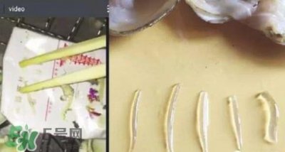 ​蚬子肉里白色长条东西是什么？蚬子肉里面透明的能吃吗