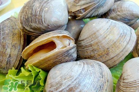 蚬子肉里白色长条东西是什么？蚬子肉里面透明的能吃吗