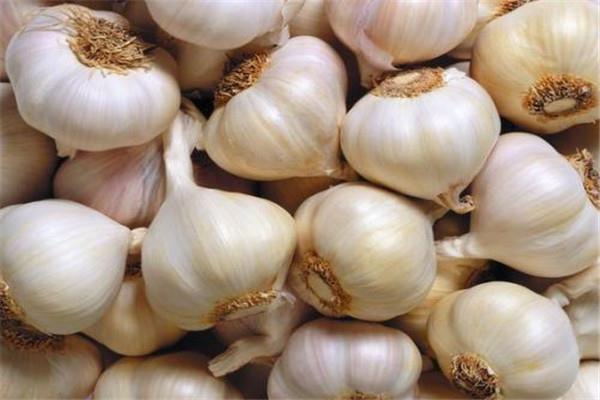 大蒜吃了恶心想吐咋办 吃大蒜恶心想吐的补救方法