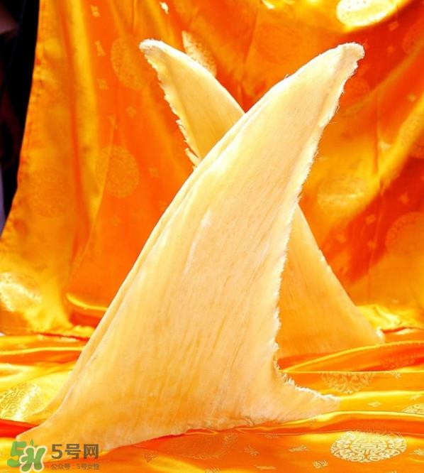 鱼翅卡喉咙了怎么办？鱼翅卡喉咙的自救法