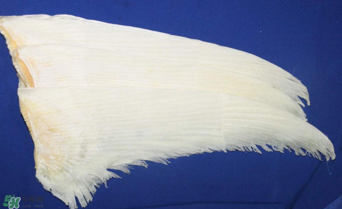 鱼翅卡喉咙了怎么办？鱼翅卡喉咙的自救法