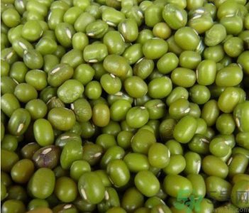 ​吃绿豆可以减肥吗？喝绿豆汤能减肥吗？